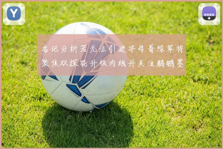 名记分析若无法引进字母哥绿军将聚焦双探花升级内线并关注鹈鹕墨菲
